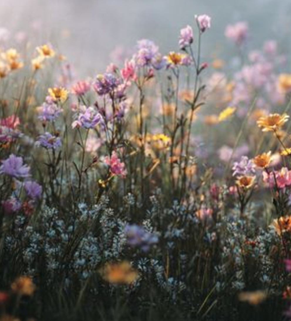 Mitől lesz könnyebb az életem?