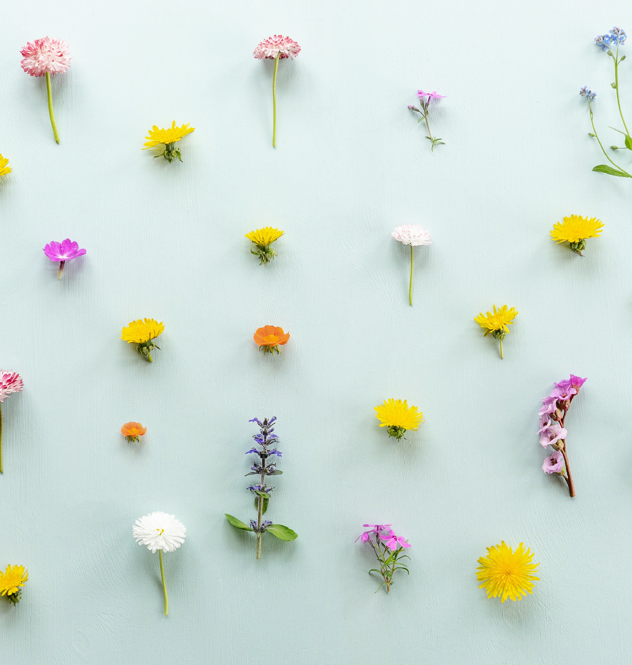 Merjünk egyéniségek lenni!