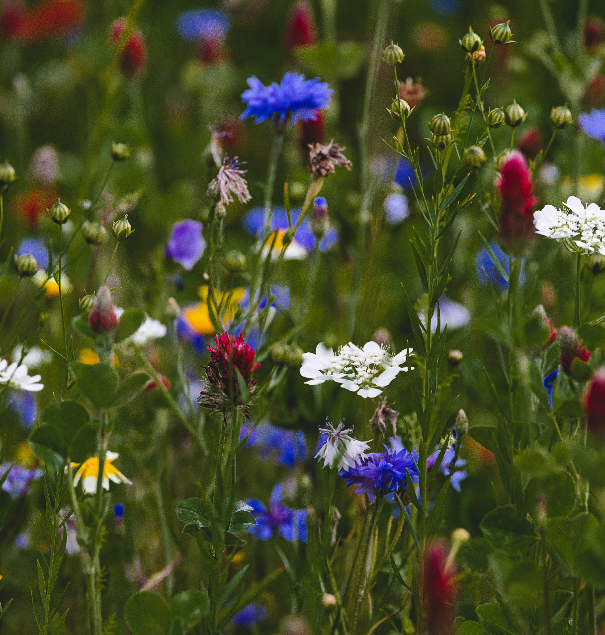“Az igazi fejlődésben benne van az, hogy véges vagyok, hogy tökéletlen vagyok.”