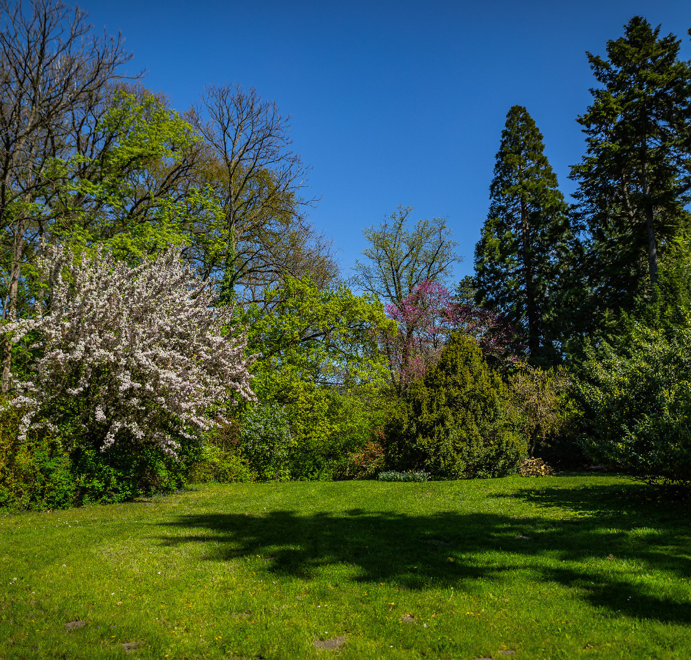 5+1 hazai arborétum