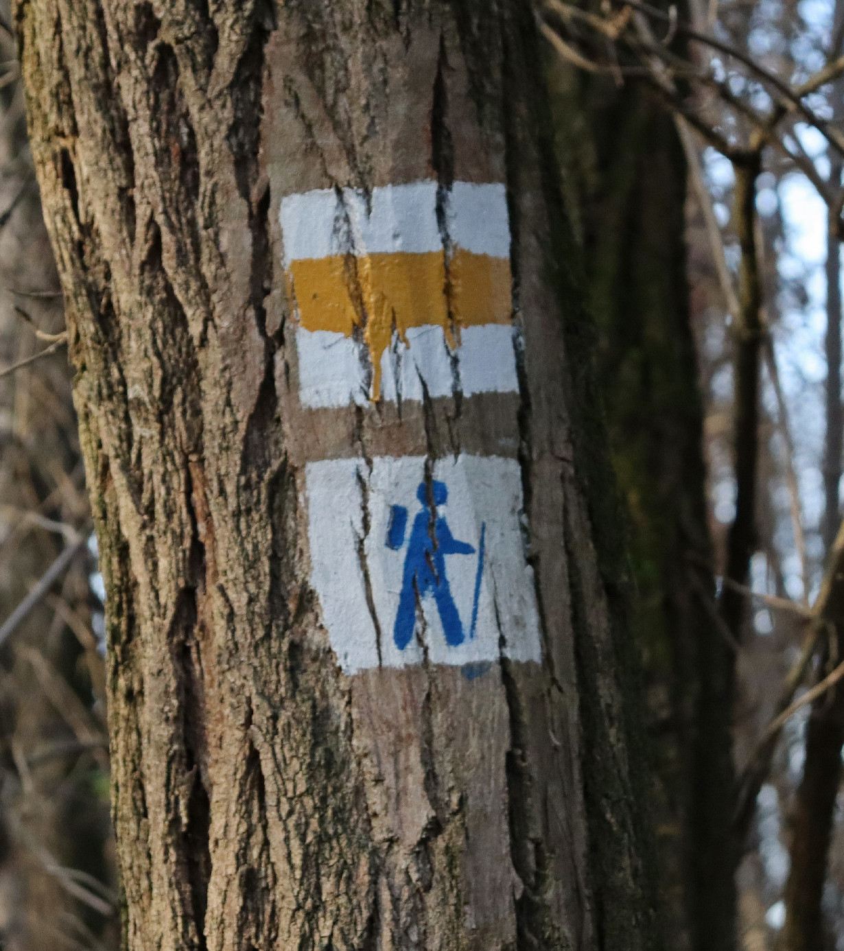 Barangolás a Csömöri körtúrán