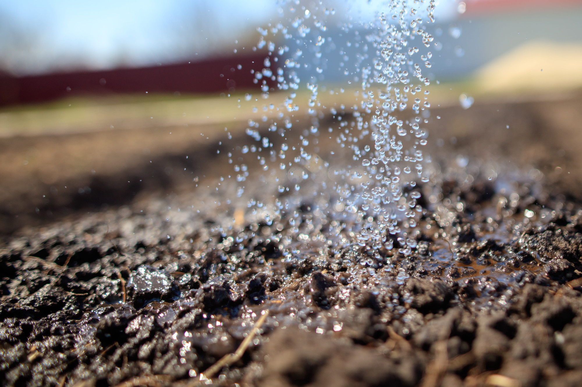 Nem kevés a víz (X)