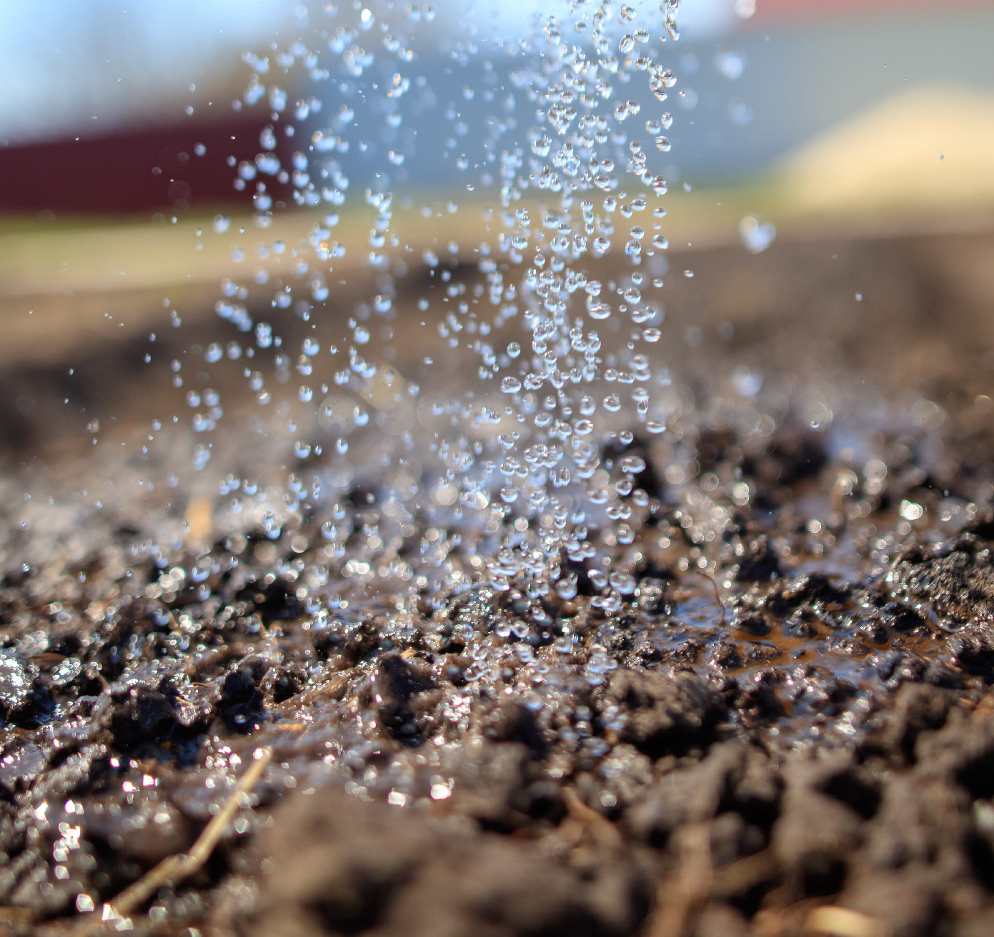 Nem kevés a víz (X)