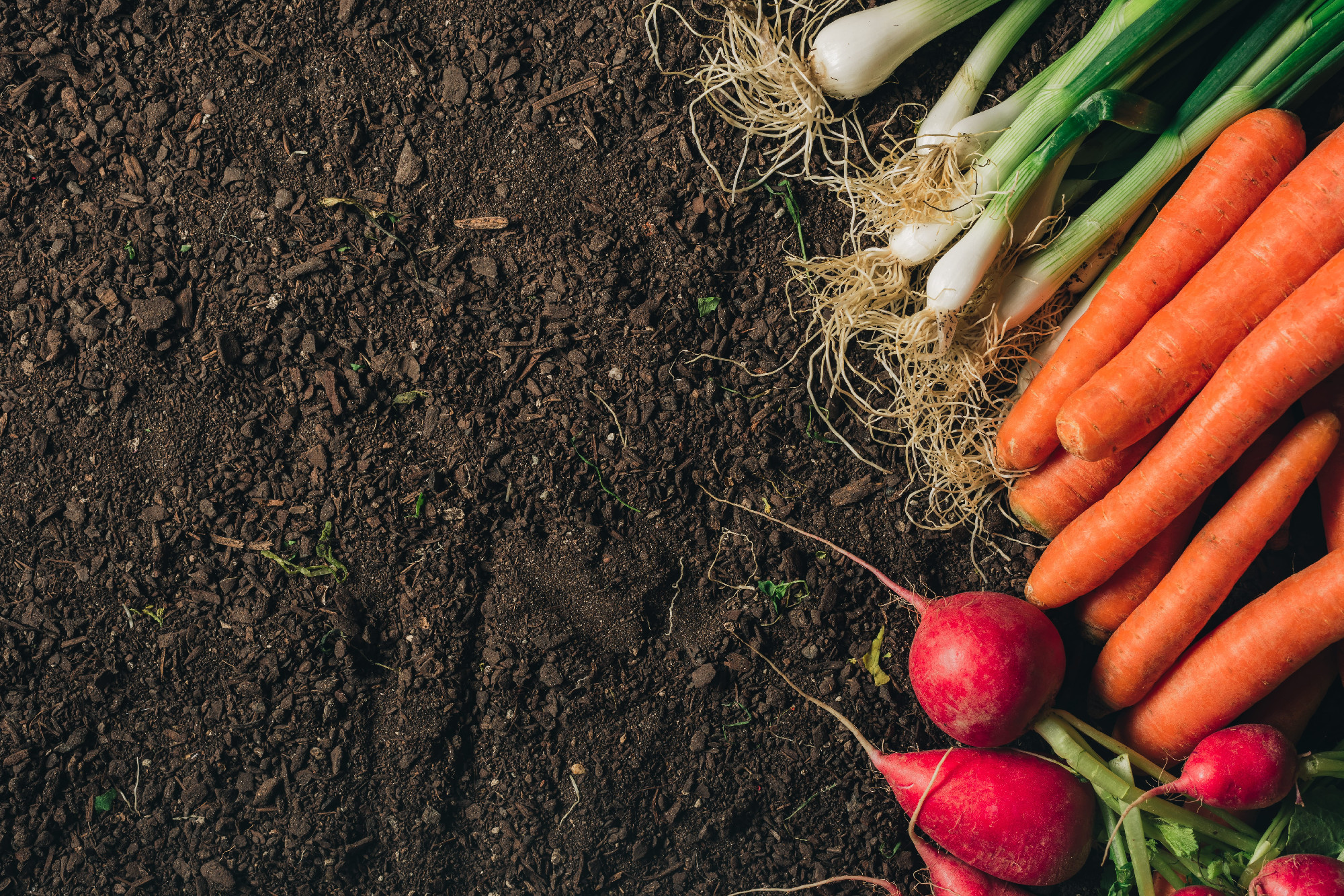 Vitaminban gazdagabb zöldség