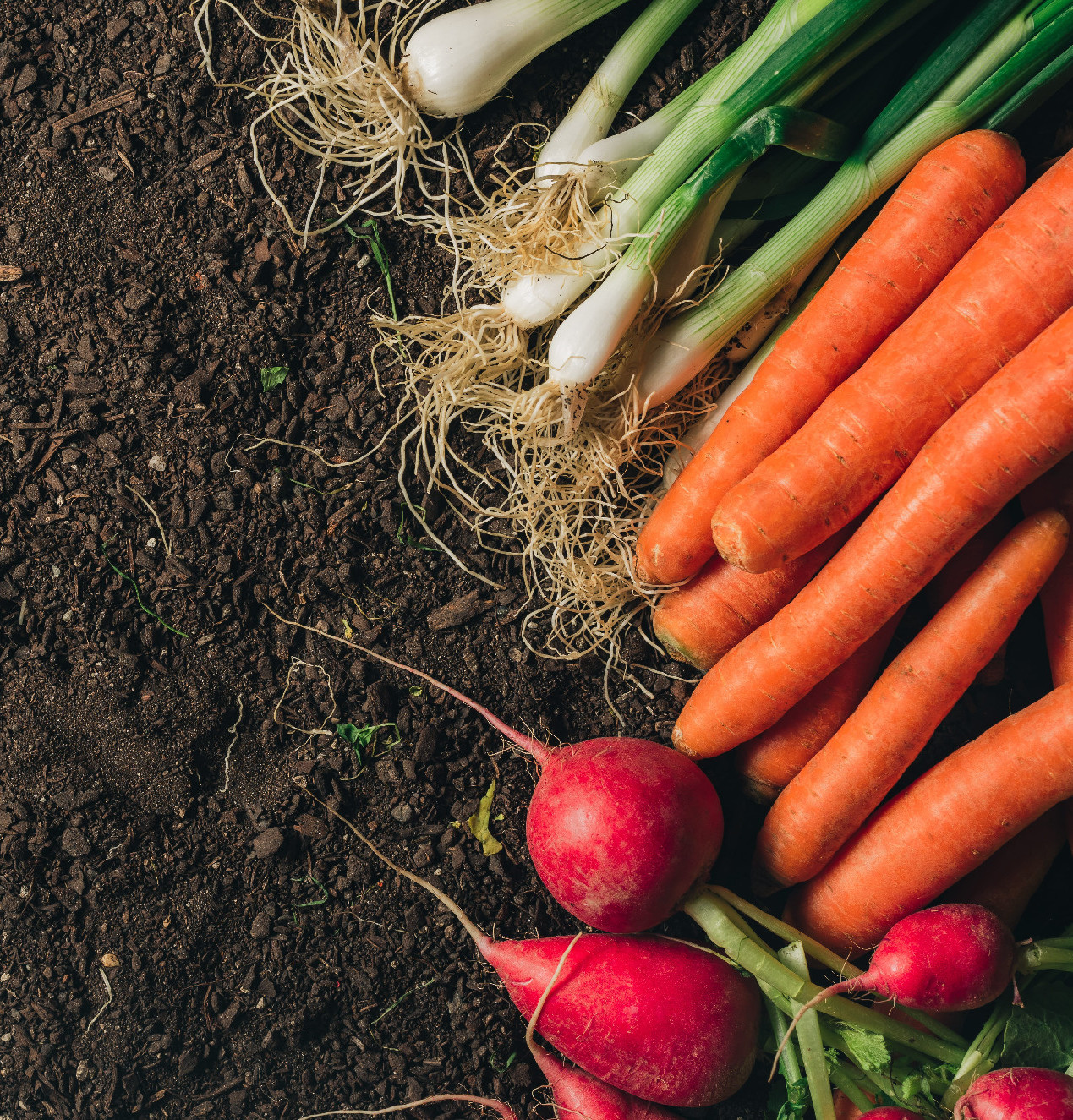 Vitaminban gazdagabb zöldség 