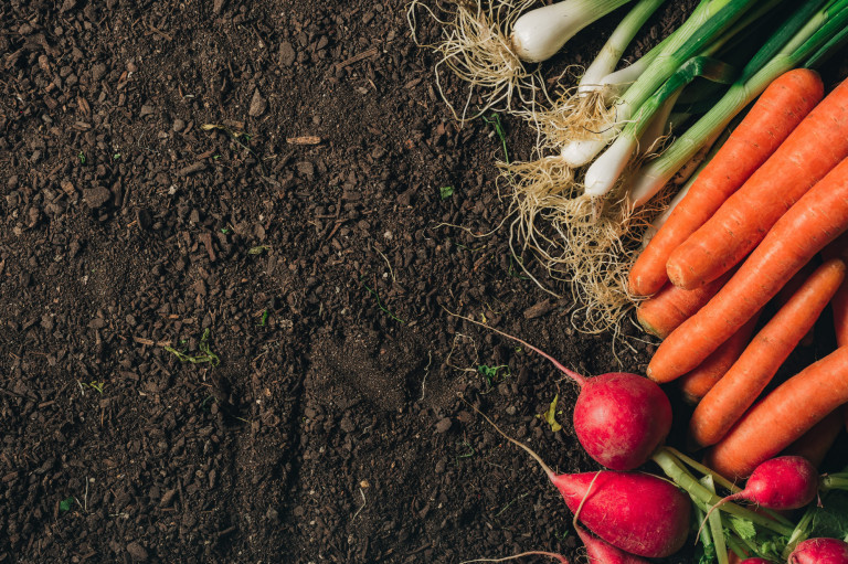 Vitaminban gazdagabb zöldség 