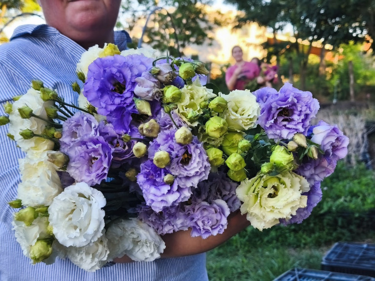 Virágvarázsló Martonvásáron