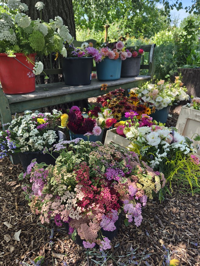 Virágvarázsló Martonvásáron