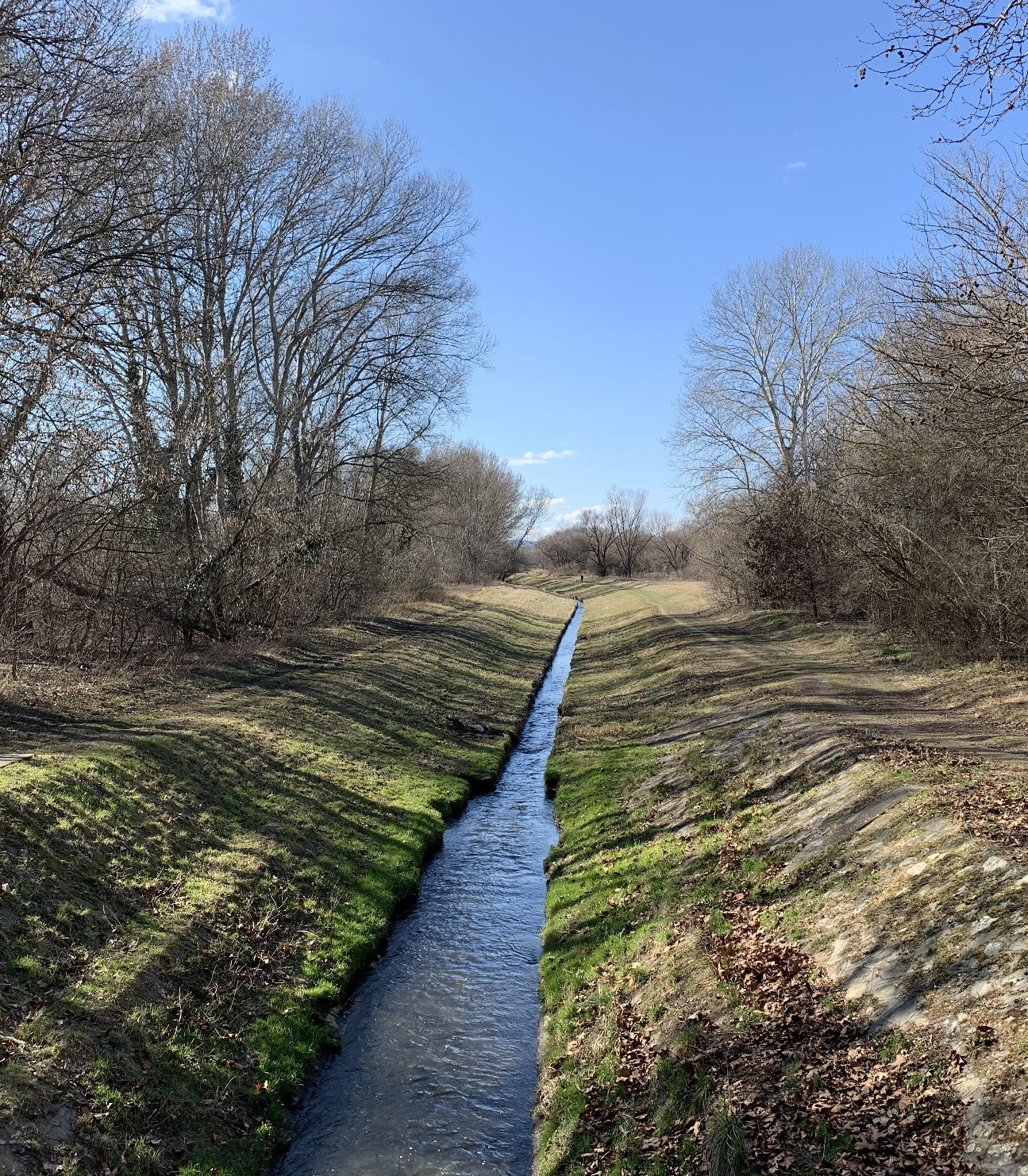 A rákosi vipera, piócásgödrök és a névadó Rákos-patak 