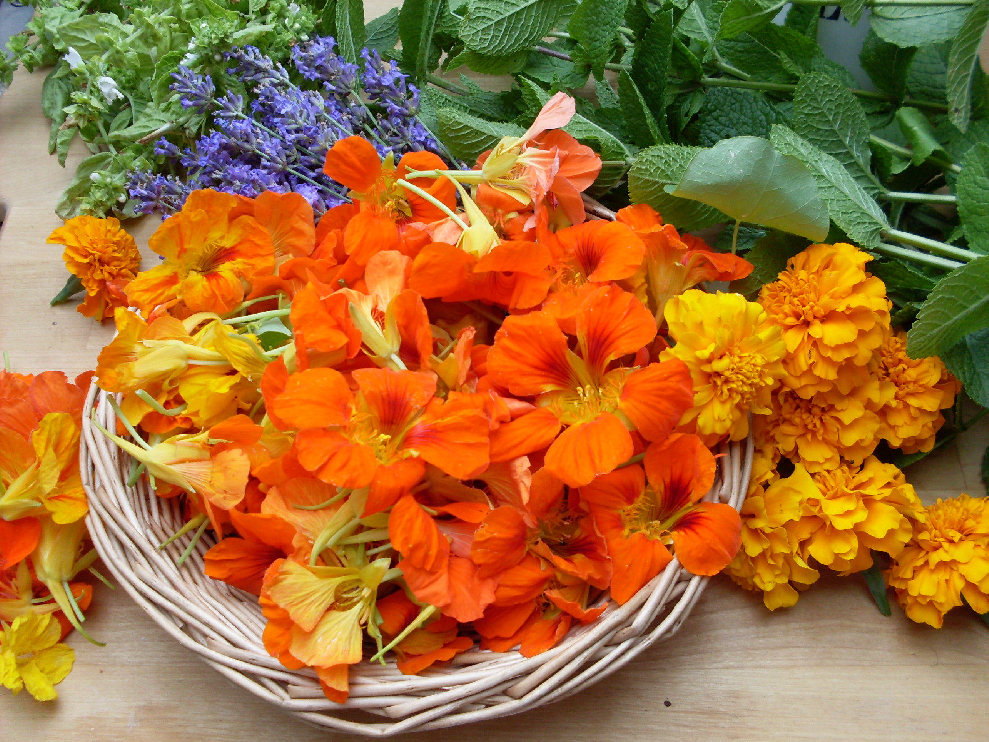 Édes-savanyú-csípős: ez a három virág a te kertedből sem hiányozhat