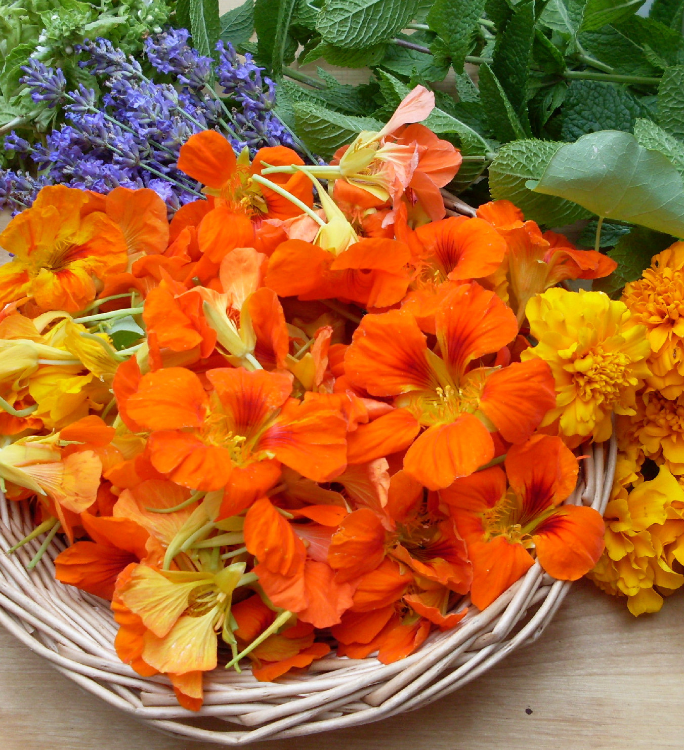 Édes-savanyú-csípős: ez a három virág a te kertedből sem hiányozhat