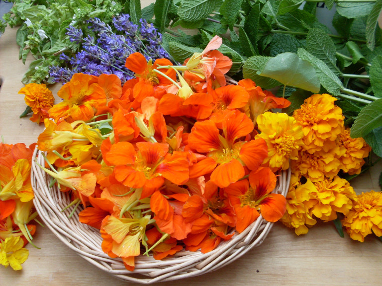 Édes-savanyú-csípős: ez a három virág a te kertedből sem hiányozhat