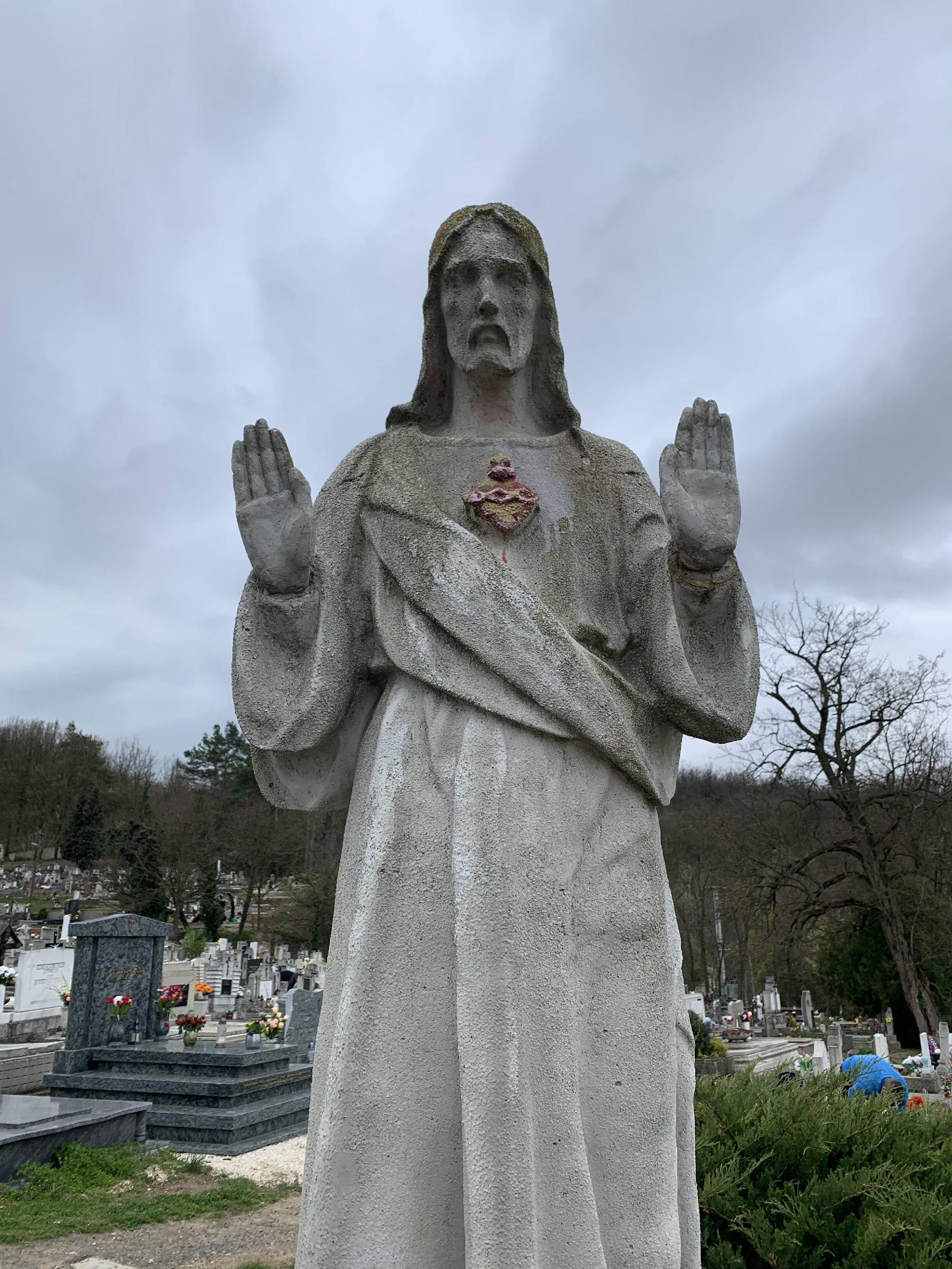 „Örvendj nagyon, Sion leánya, ujjongj, Jeruzsálem leánya! 