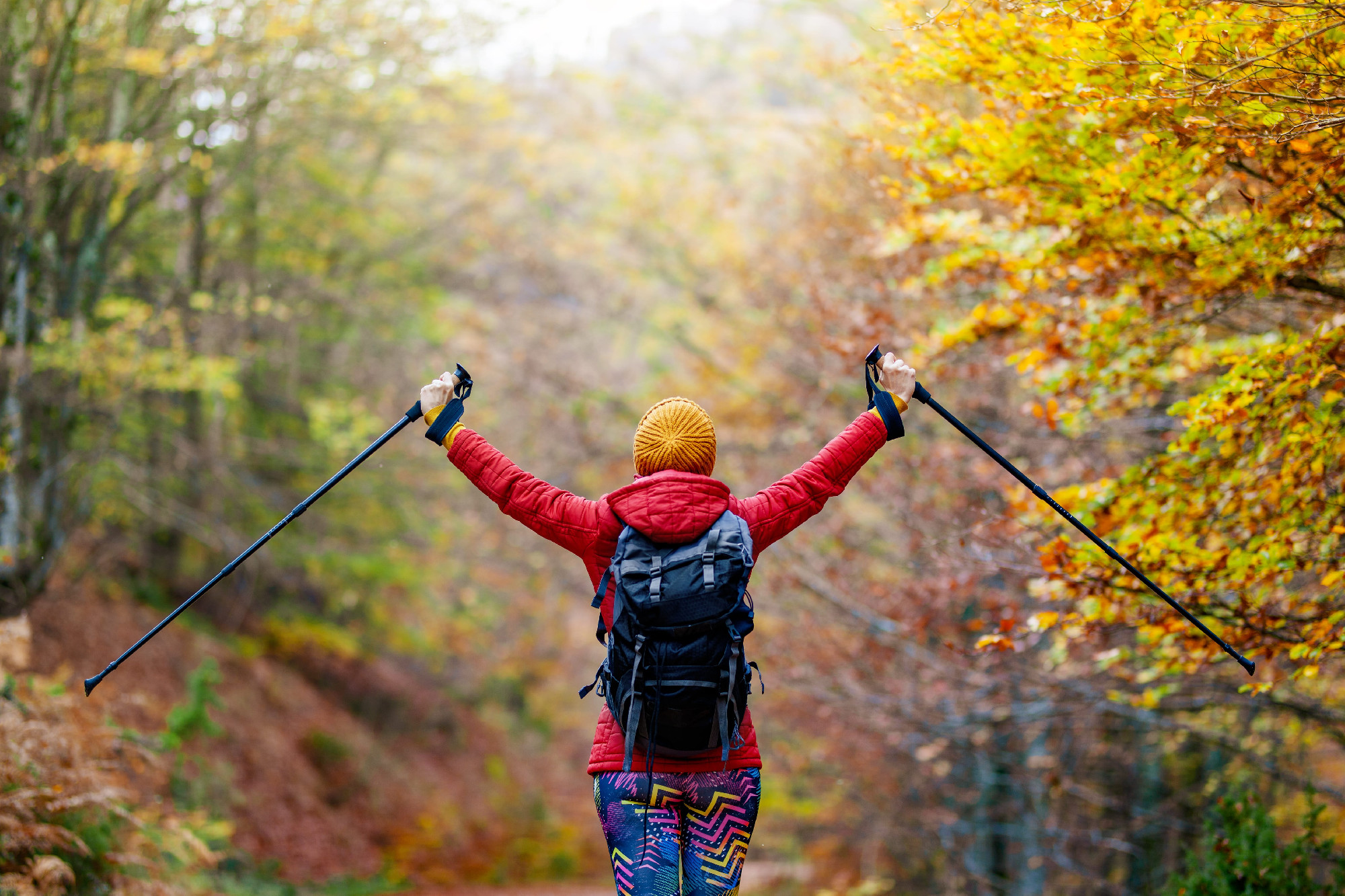 Nordic walking