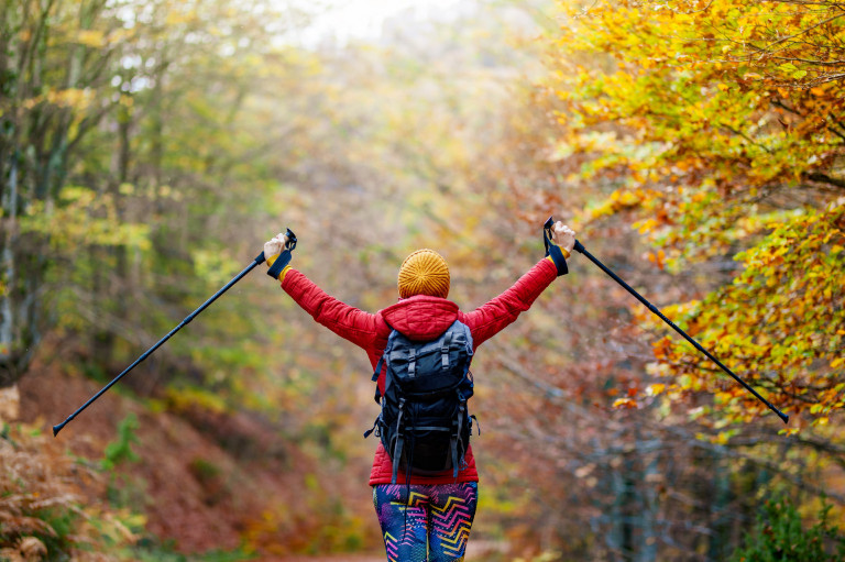 Nordic walking