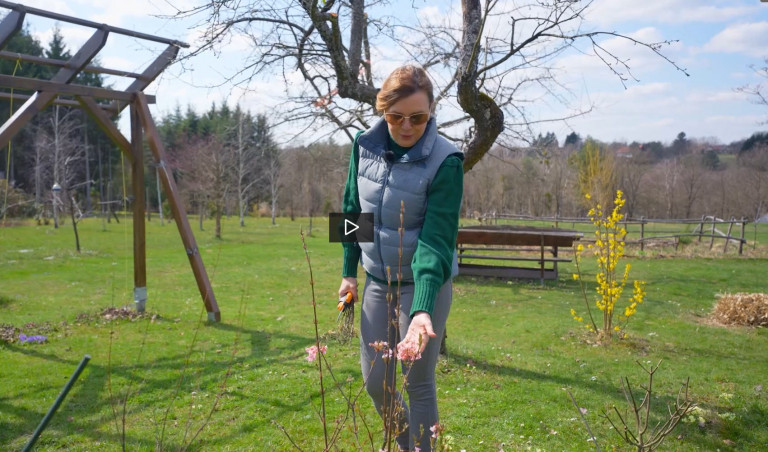 Elindult a Kertem sorozat új évada!