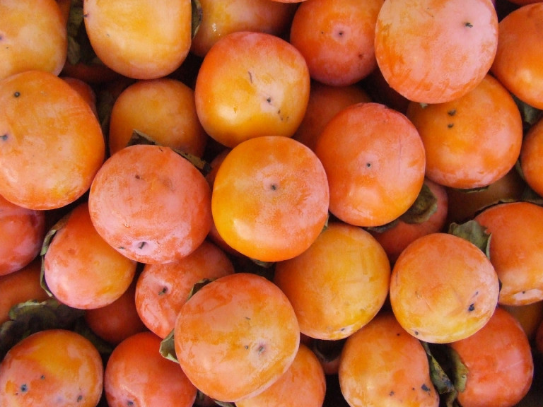 Datolyaszilva, pisztácia, pekándió és füge a hazai kertben?