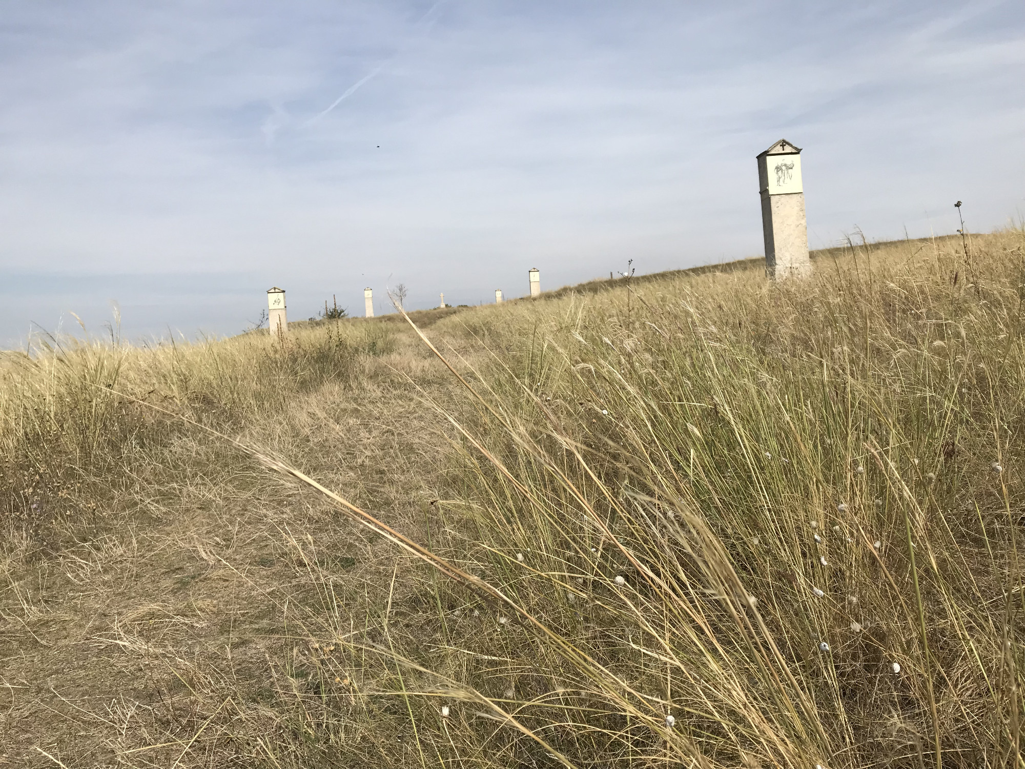 Galagonya-túra Tétényi-fennsíkon