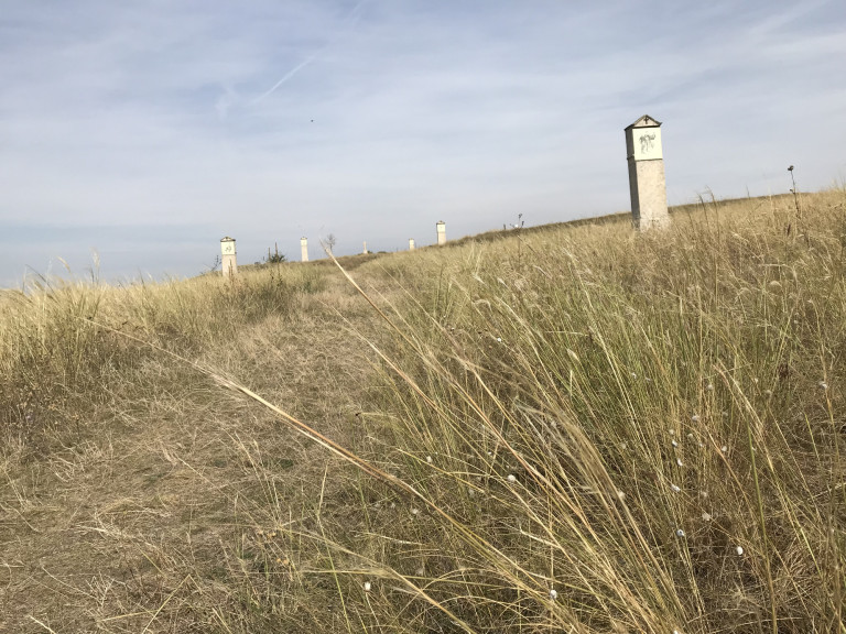 Galagonya-túra a Tétényi-fennsíkon