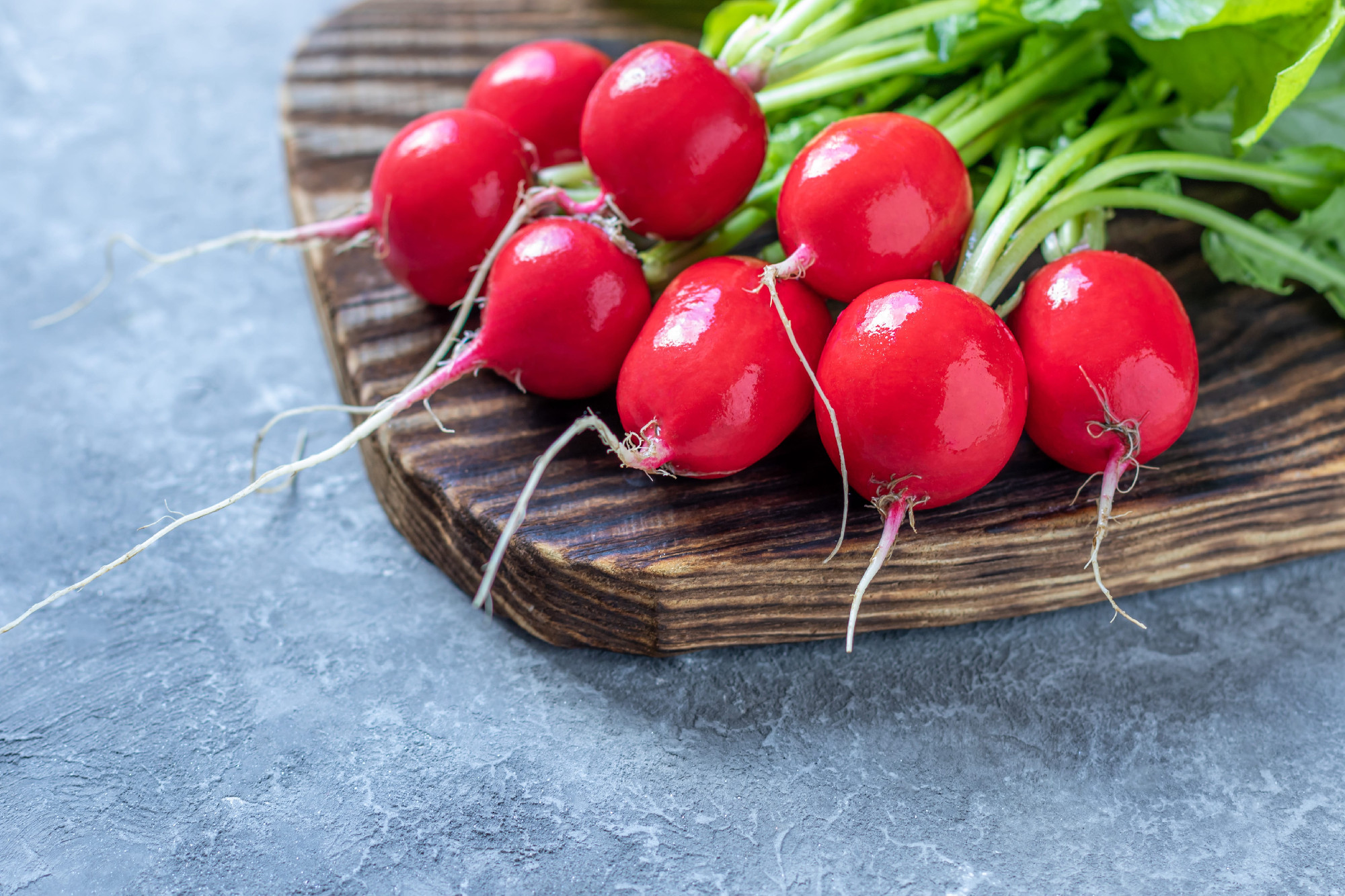 Lehetőségek a hónapos retek után: mit vessünk a felszabaduló ágyásba?