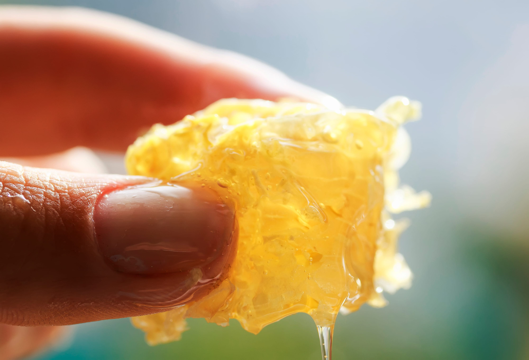 Teljesítménytúrára készülsz? Méz lesz nálad? 