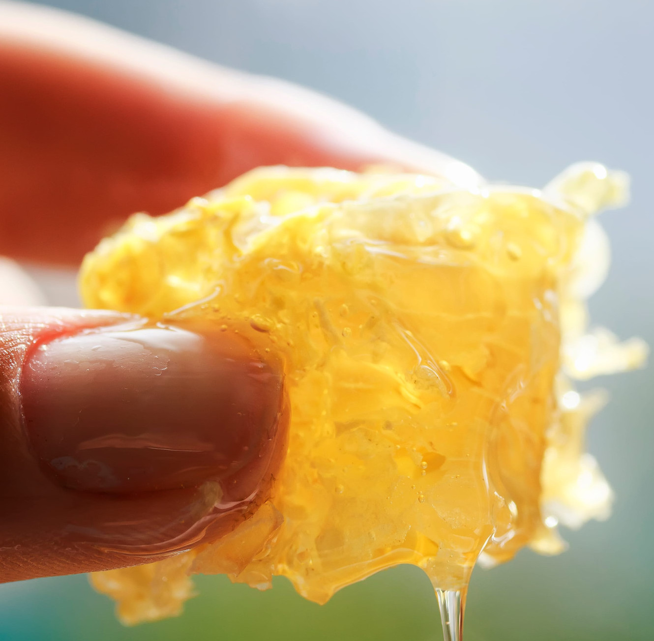 Teljesítménytúrára készülsz? Méz lesz nálad? 