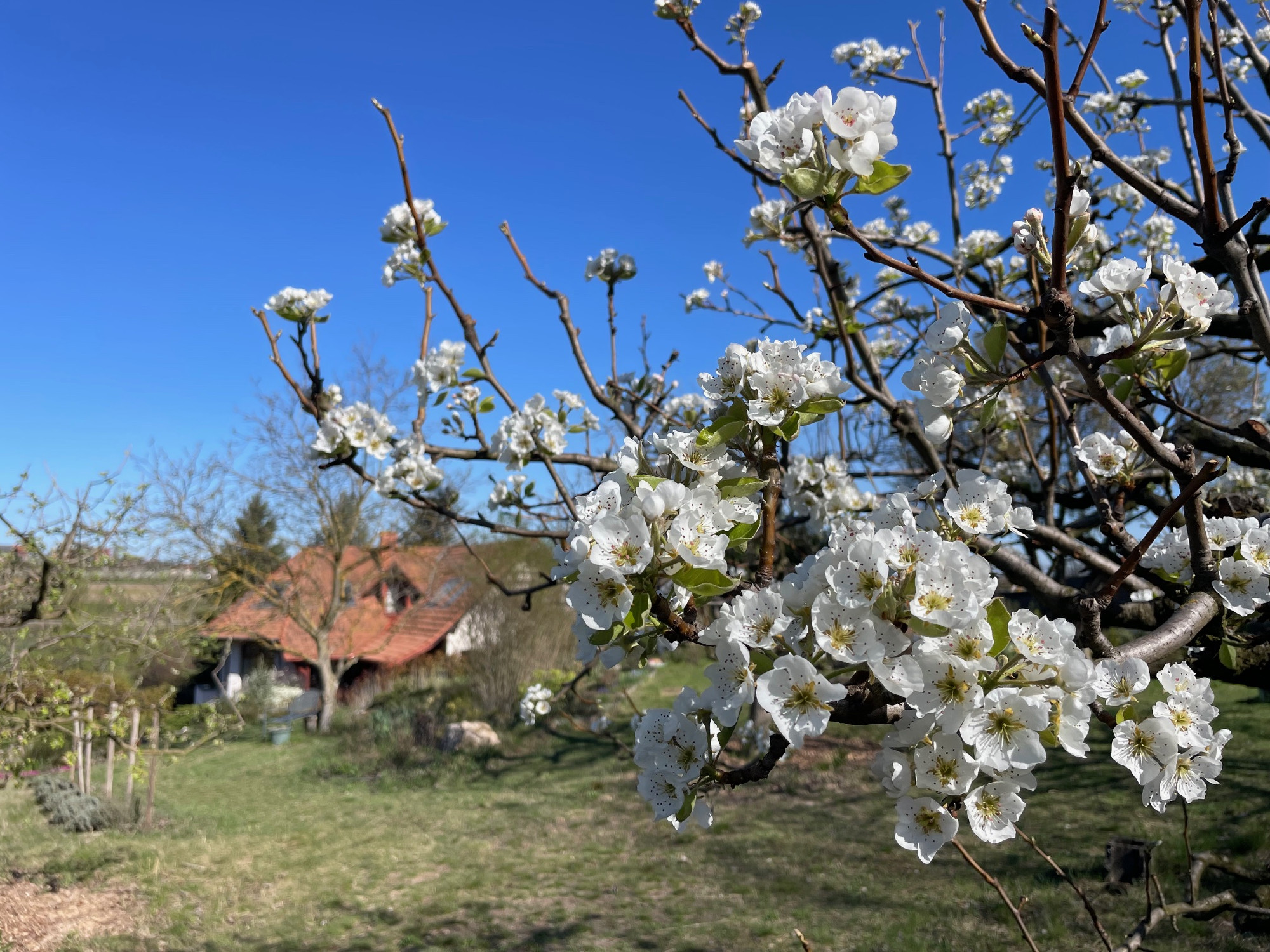 Kert a tájban, táj a kertben