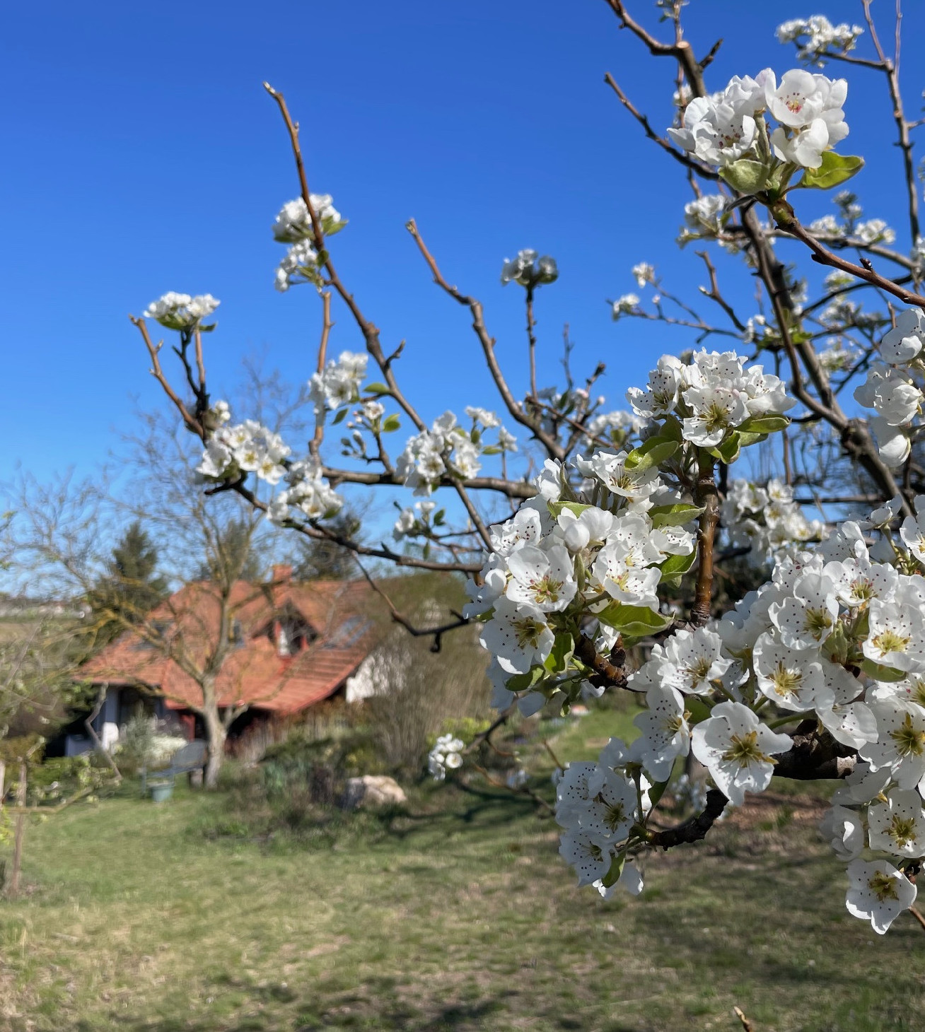 Kert a tájban, táj a kertben