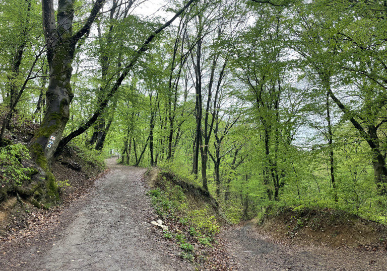 Májusi túra a Börzsöny legszebb panorámaútján