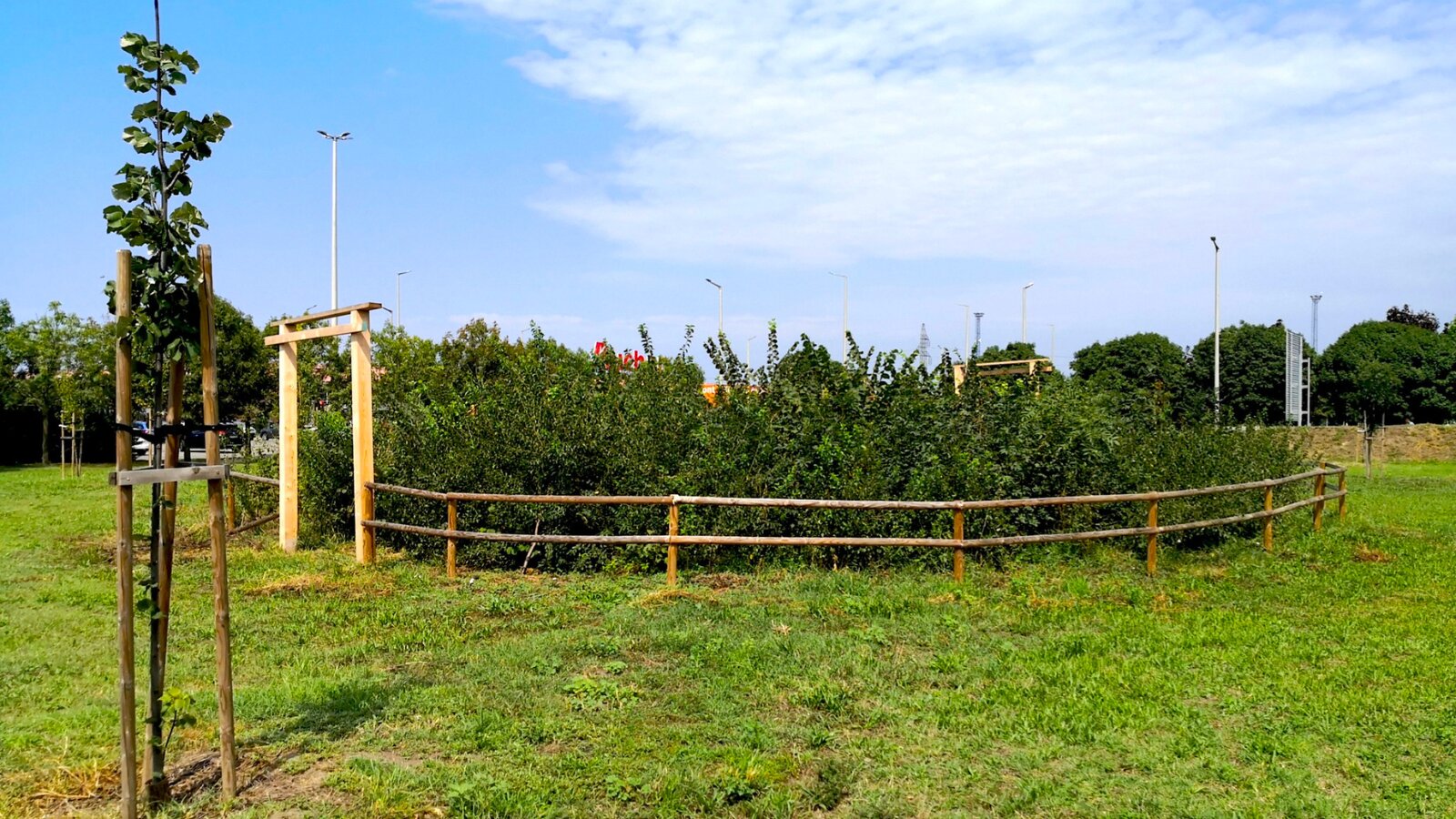 Magyarország első Miyawaki-minierdő konferenciáját rendezi meg a 10 millió Fa