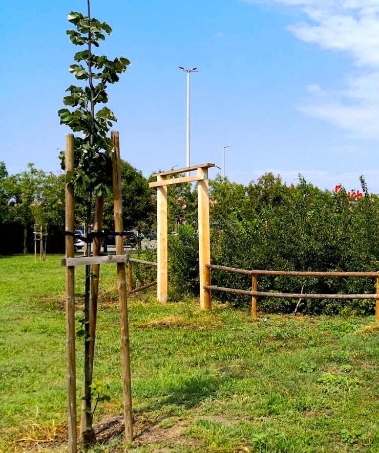 Magyarország első Miyawaki-minierdő konferenciáját rendezi meg a 10 millió Fa