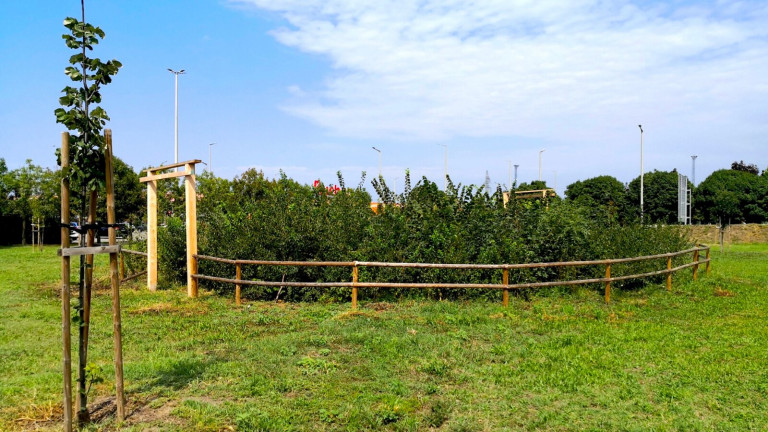 Magyarország első Miyawaki-minierdő konferenciáját rendezi meg a 10 millió Fa