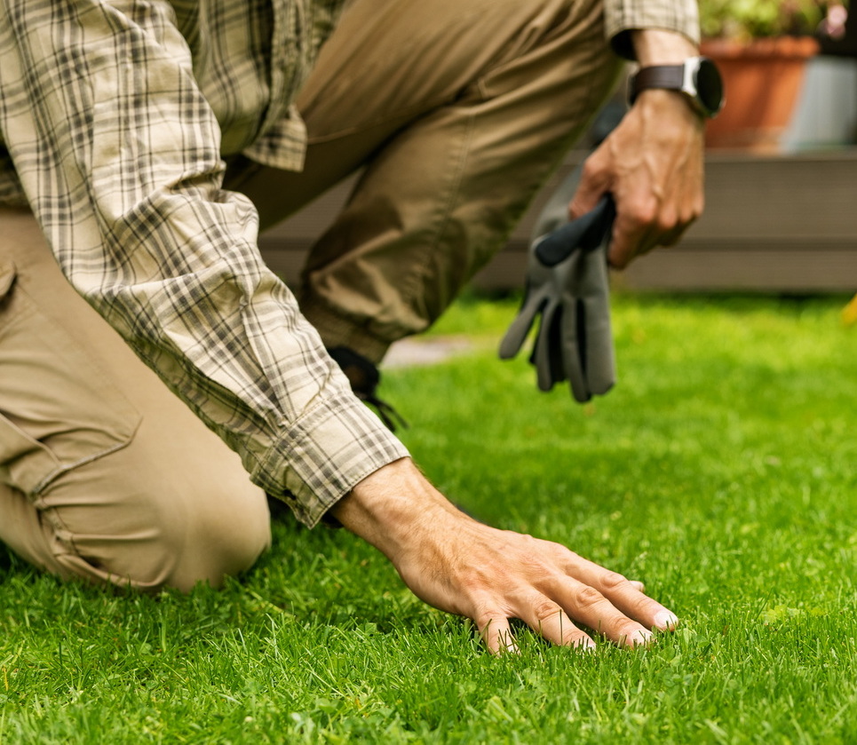 Gyakorlati tanácsok az AGRO.bio BactoFil® A és B porok felhasználásához (X)