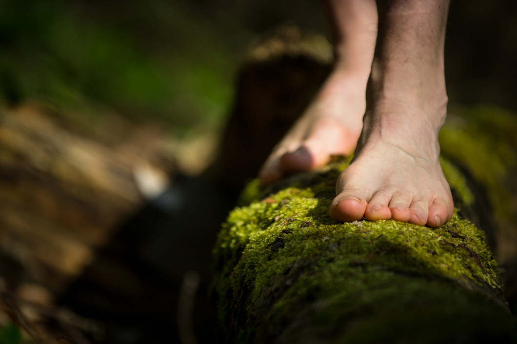A Bare Male Feets Standing on a Log Covered with Bright Green Moss.