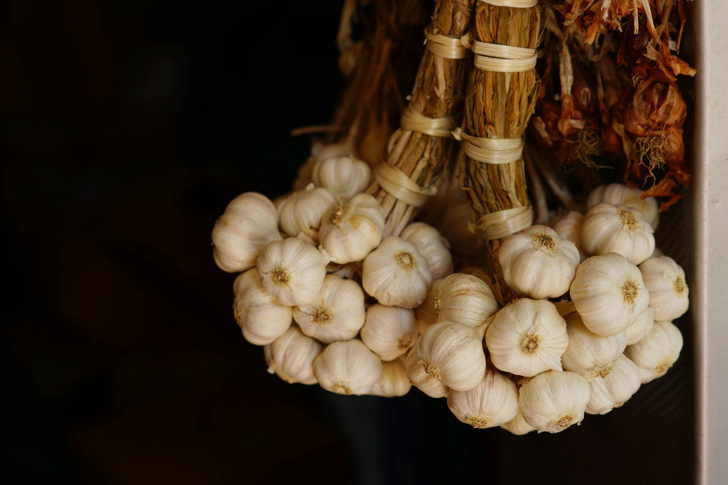 Fresh raw garlic bundle, copy space, kitchen raw ingredient concept