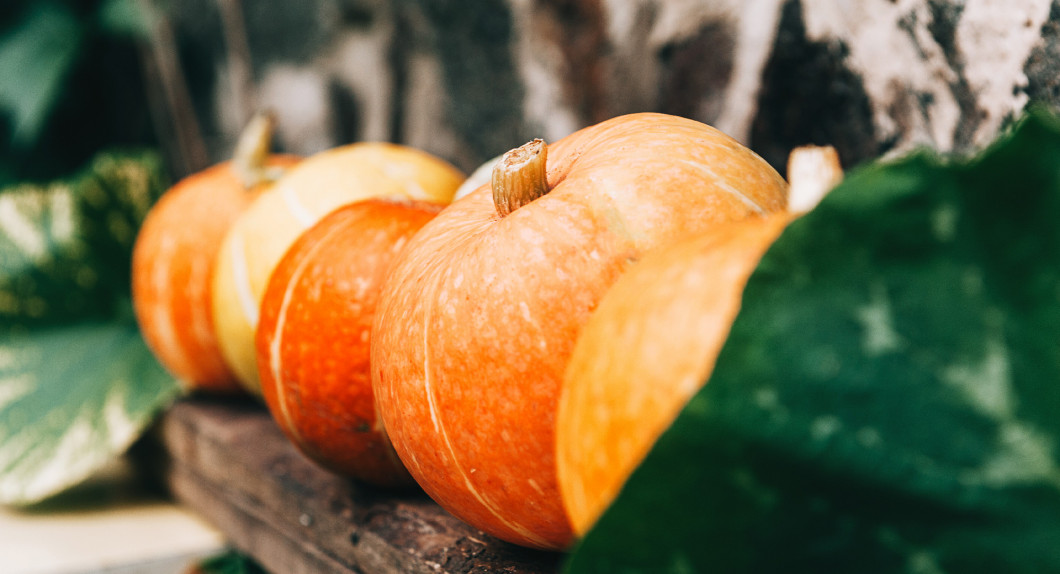 Ripe small farmer ecologically clean pumpkins of different varieties