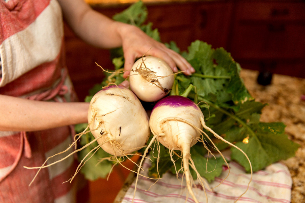 Large Turnips Grown at Home, Homegrown Turnips