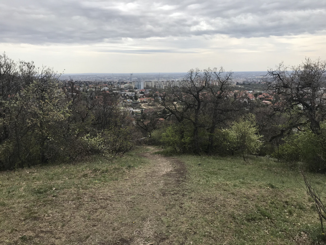 budaorsi-tanosveny