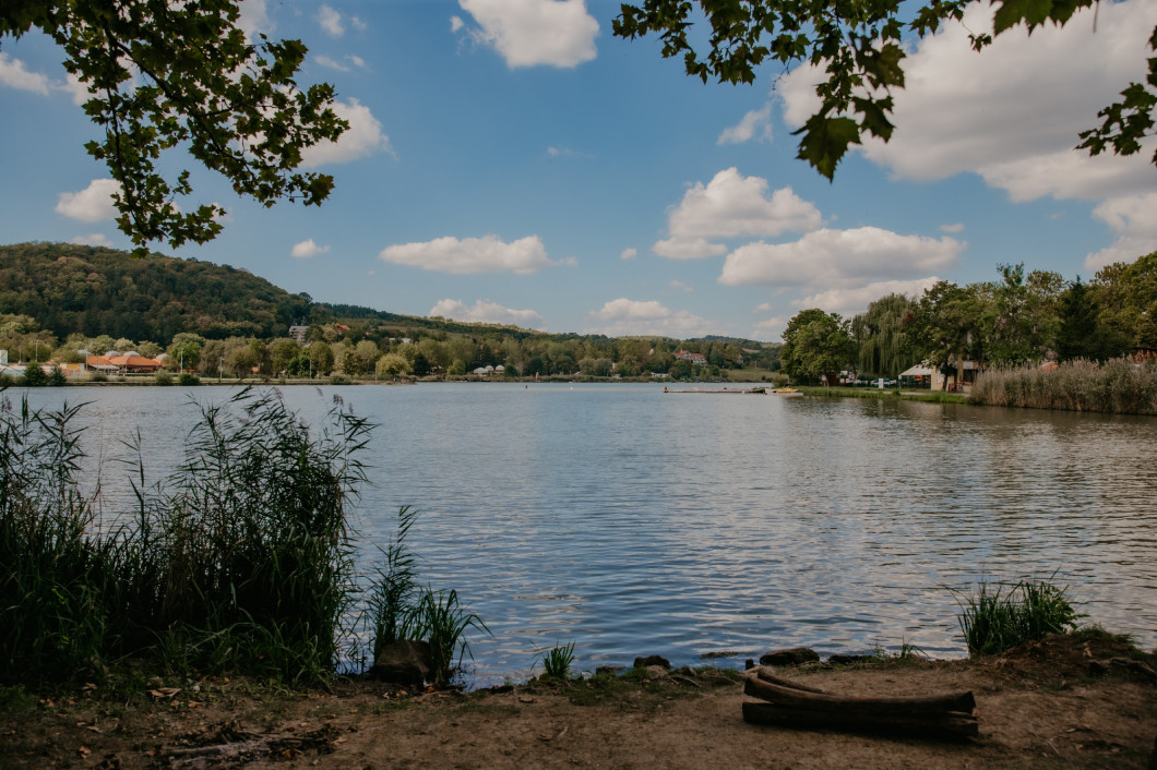 pecs-villany