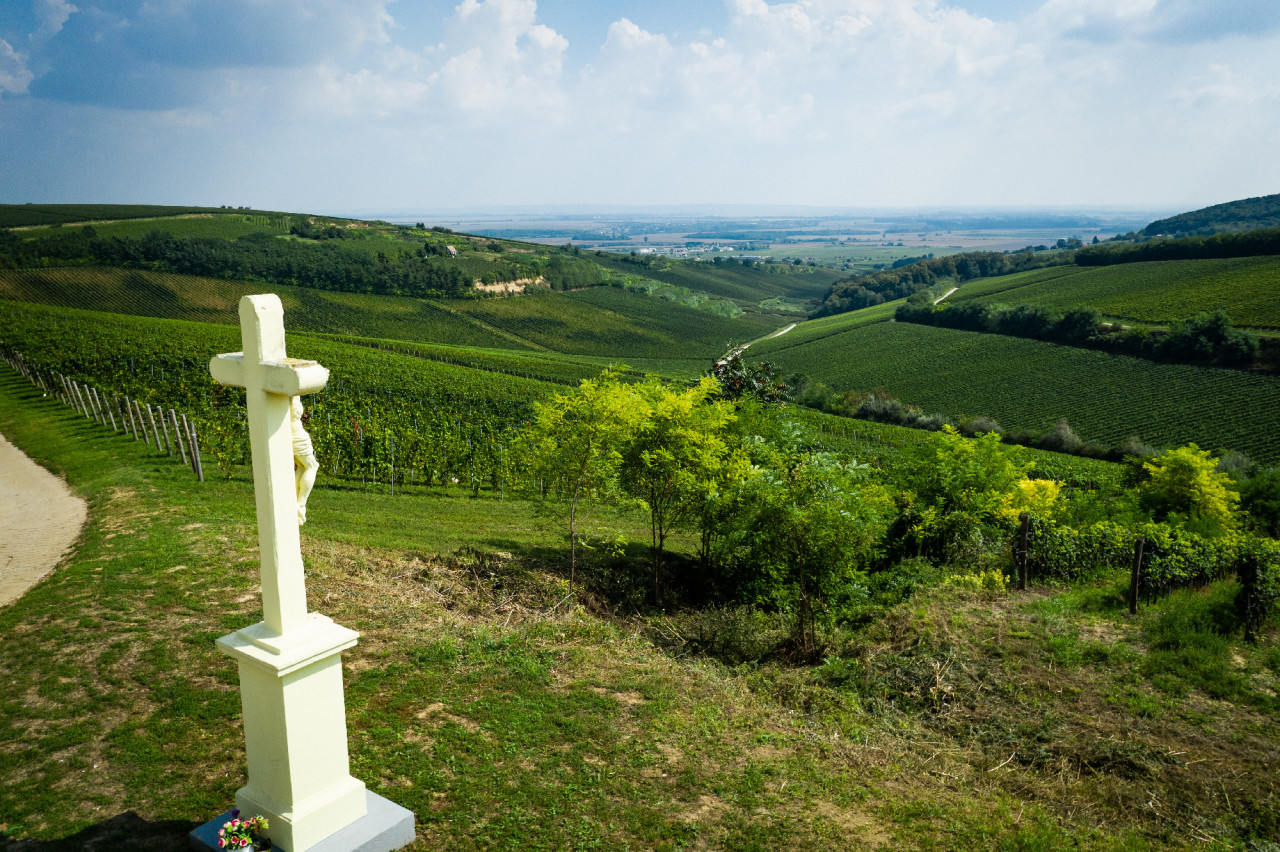 pecs-villany