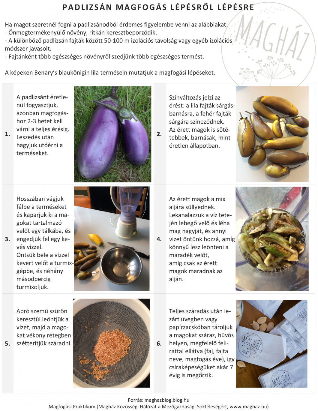 Microsoft Word - Padlizsan magfogás one pager_calibre.docx