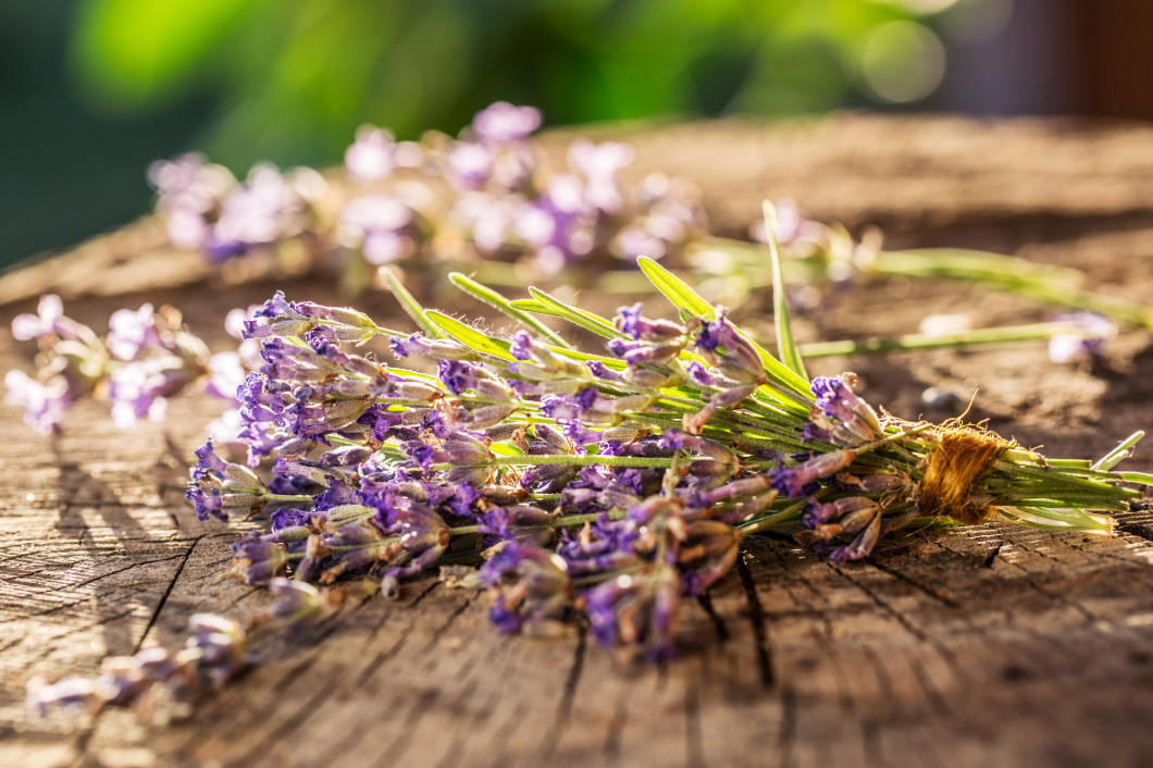 Bunch of lavandula or lavender flowers on the old wooden table.