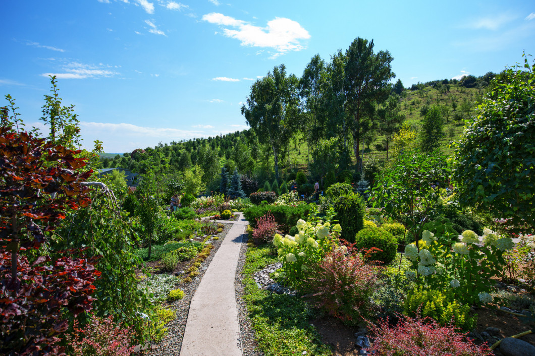 The territory of the arboretum. The Village Of Altai, Gorny Alta