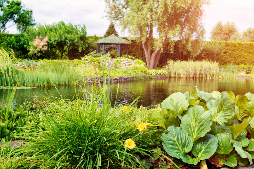 City park with lake