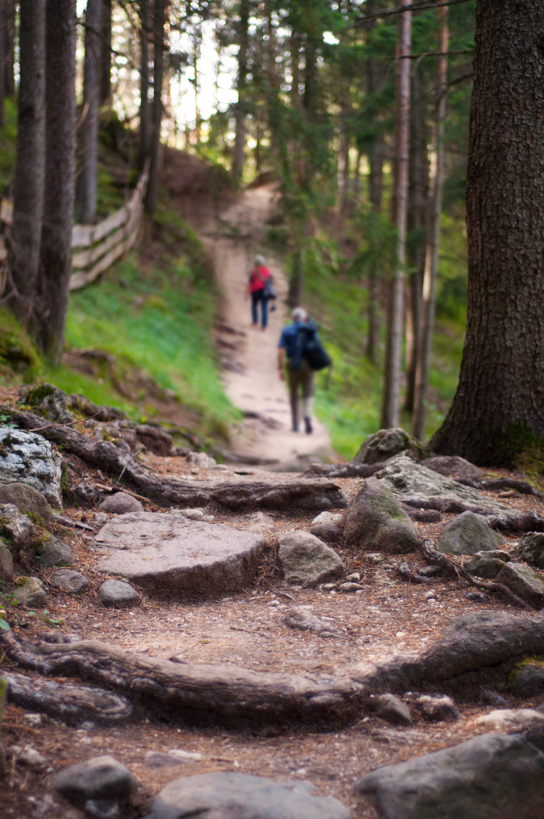 Hiking path