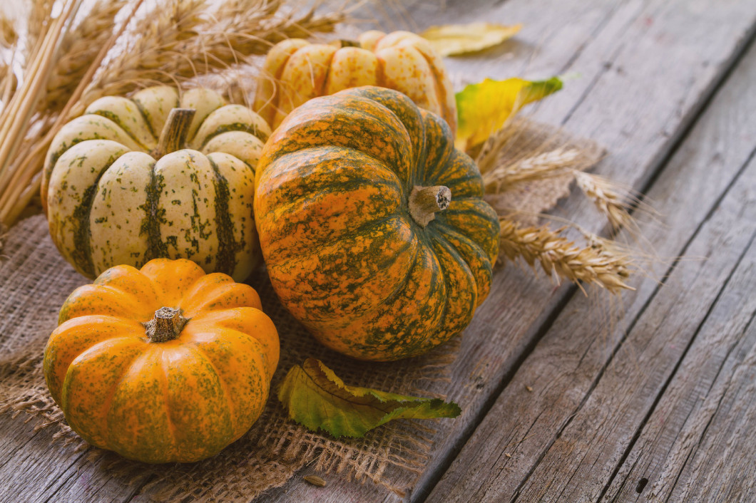 Selection of pumpkins, wheat