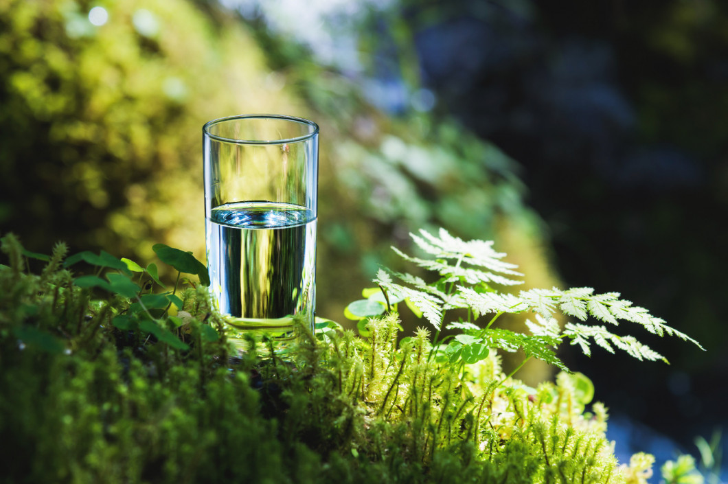 Clear water in a clear glass against a background of green moss with a mountain river in the background. Healthy food and environmentally friendly natural water