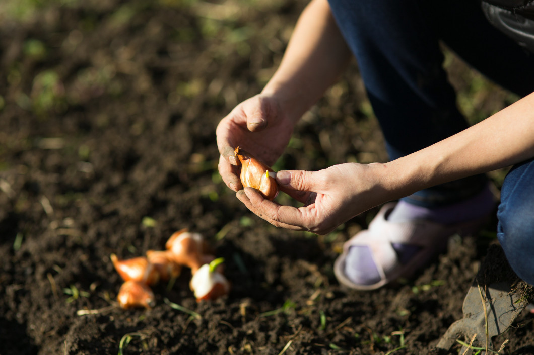 Garden Works. Young Woman Working in the Garden. Healthy Lifesty