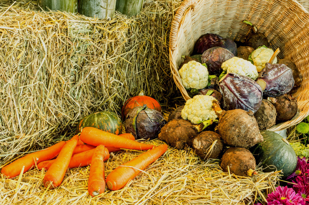 Composition with fruits and vegetables close up