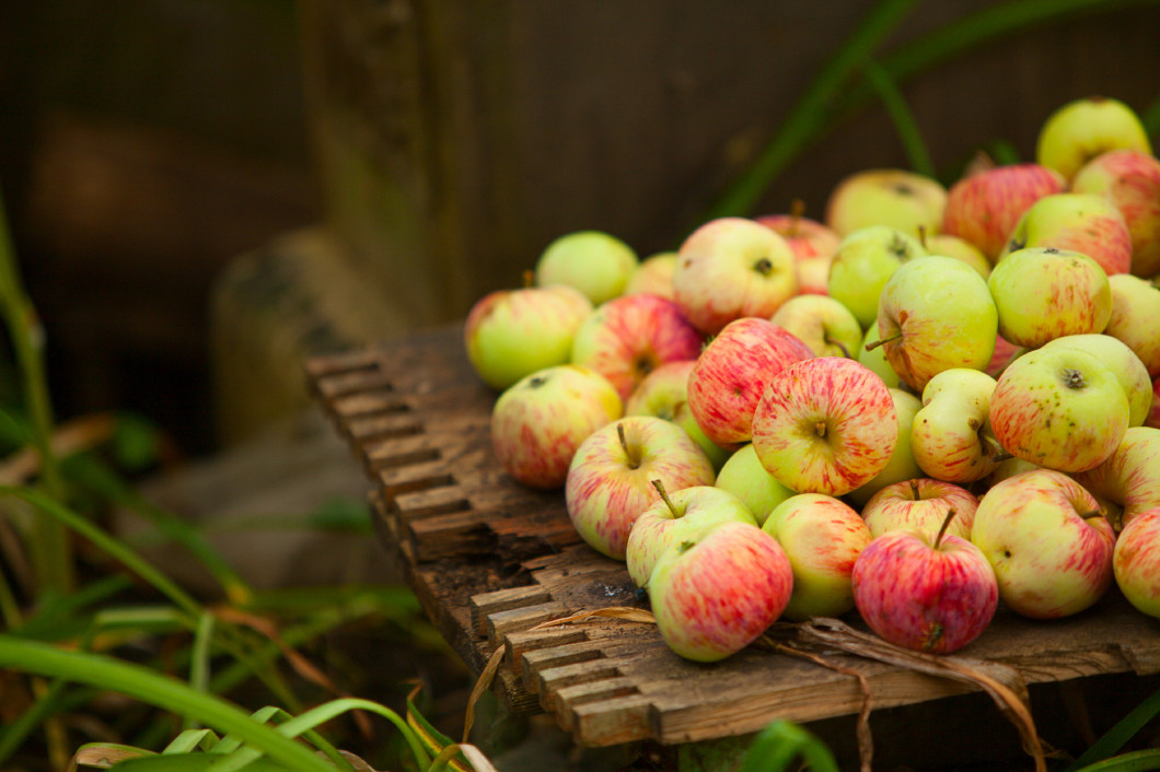 red apples on the table